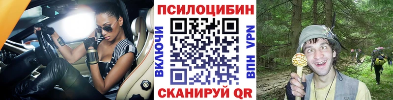 Псилоцибиновые грибы мицелий  Купить  Питкяранта 